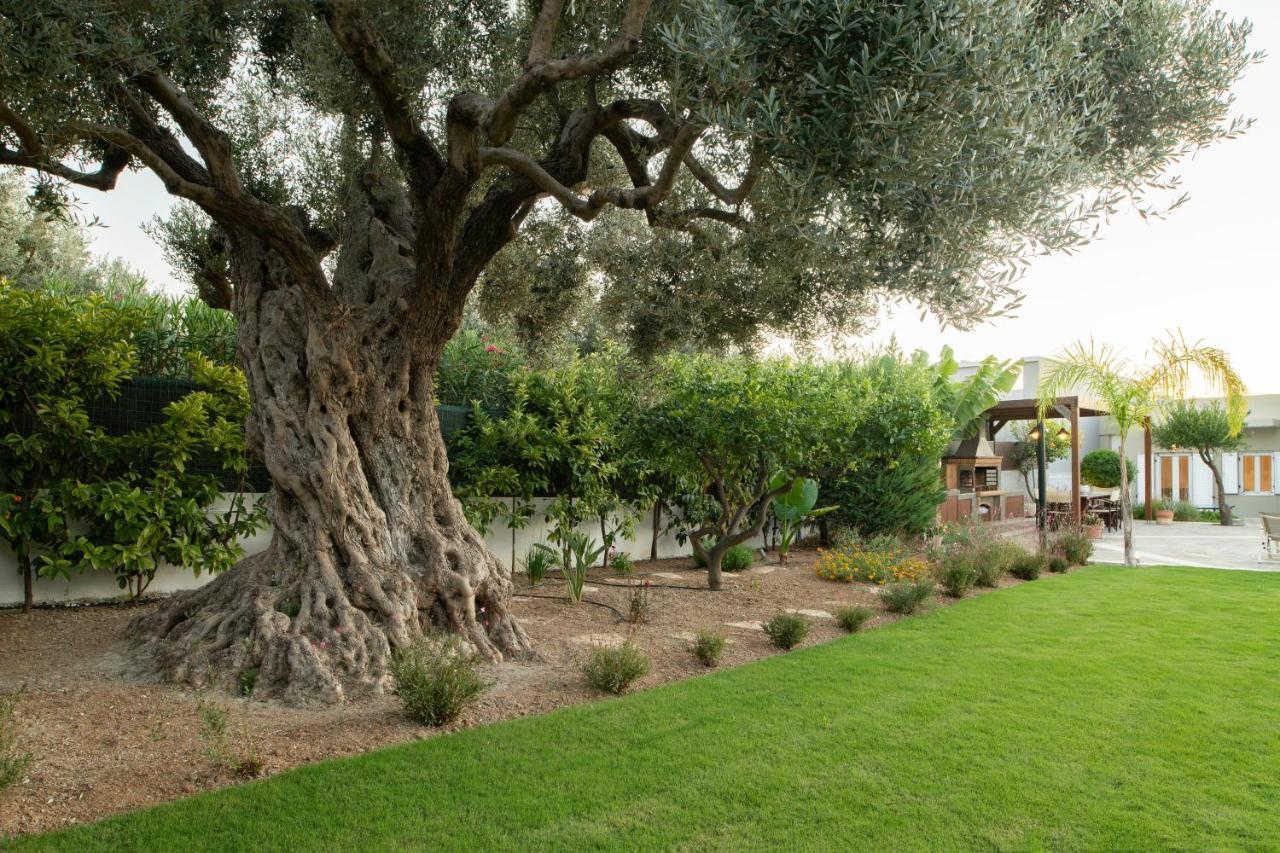 אדליאנוס קומפוס Villa Periklis מראה חיצוני תמונה